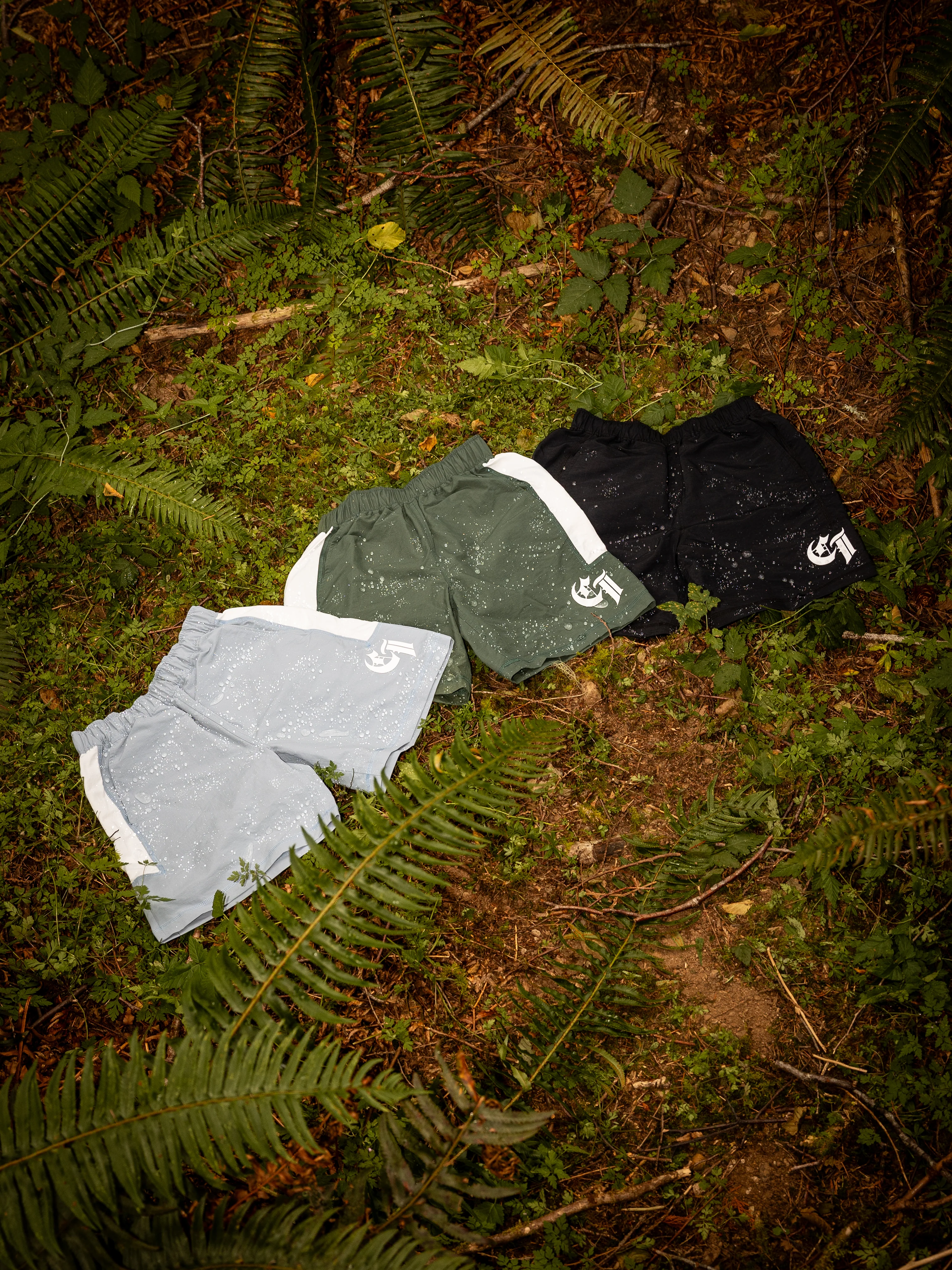 Prime Layer Midnight Black Shorts - Image 3