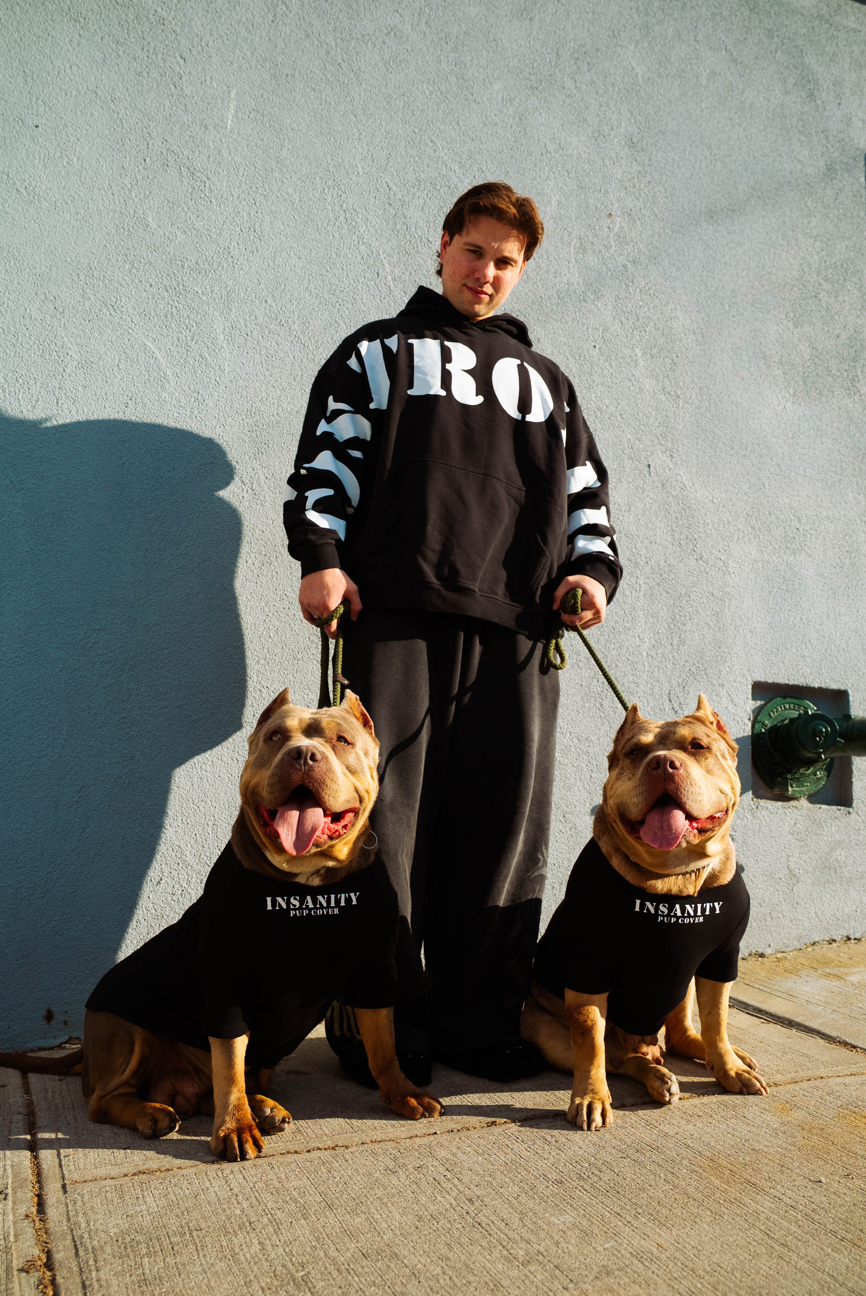 Pup Cover - Image 4